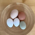 Bergblick Auf Bio-hof