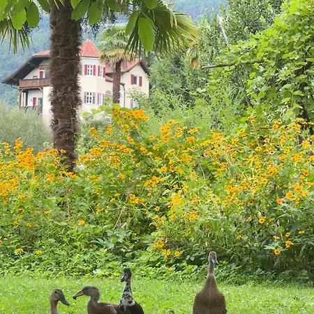 Bergblick Auf Bio-hof Merano