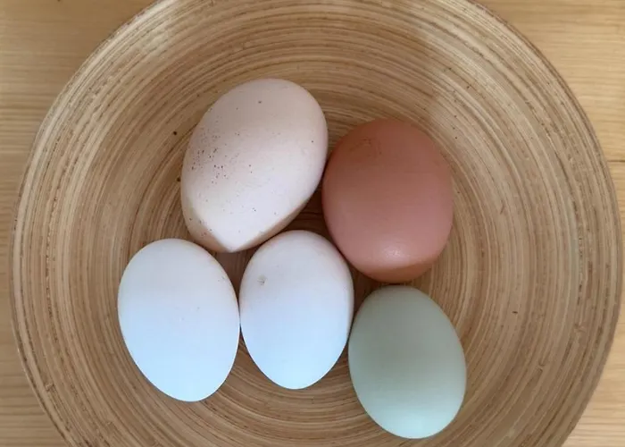 Bergblick Auf Bio-hof