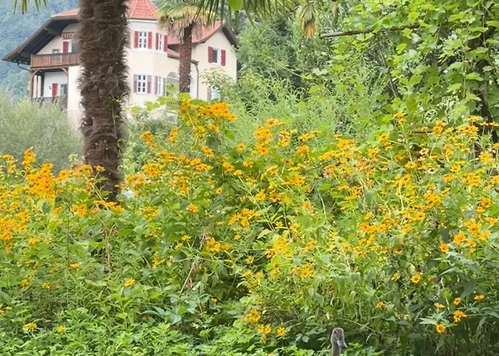 Bergblick Auf Bio-hof Merano